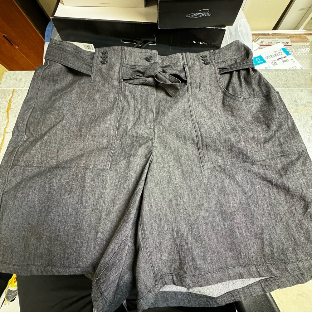 Sandro Women’s Shorts (Size 14W)